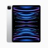 Apple iPad Pro 11 4th Gen 512GB