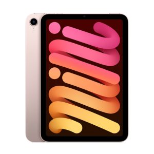 iPad Mini 2021 6th Gen 256GB