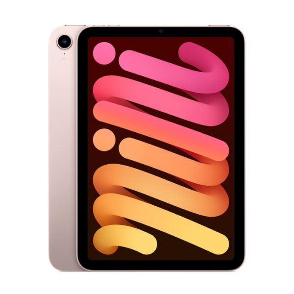 iPad Mini 2021 6th Gen 256GB