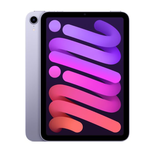 iPad Mini 2021 6th Gen 256GB